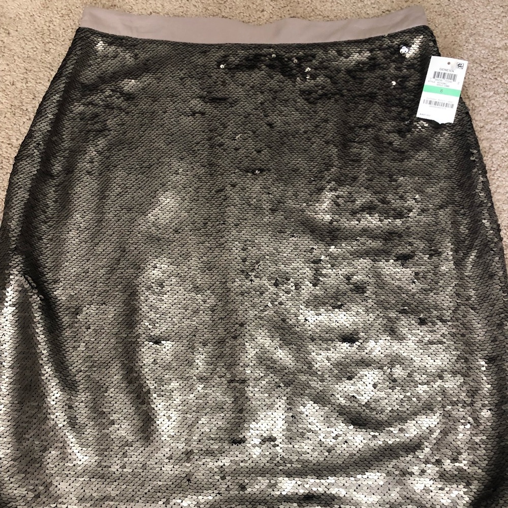 Sequin Skirt